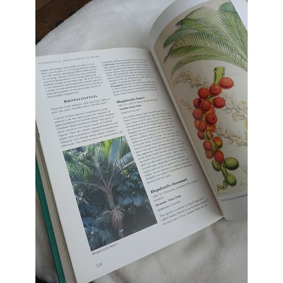 Palms Throughout the World David L. Jones 1995 Hardcover Dust Jacket Like New - Picture 13 of 16